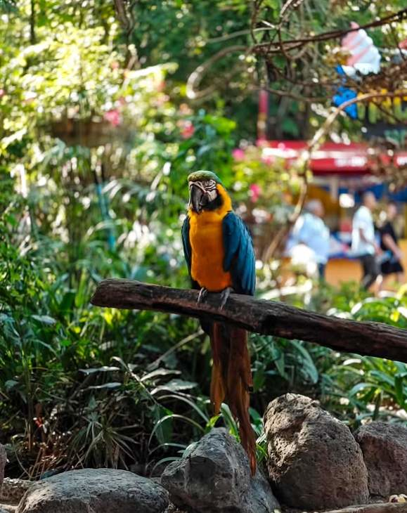 Safari World Bangkok